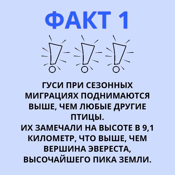 2 1715565570224 (1).jpg